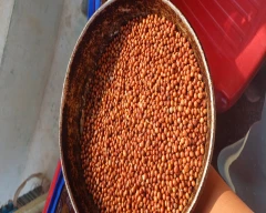 Indian Tur Dal for sale in Koppal