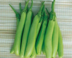 Other Brinjal for sale in Chikkamagaluru