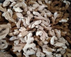 A Grade Quality Dried Ginger for sale in Aurangabad