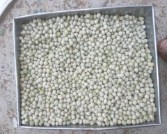 Other Pear for sale in Hamirpur