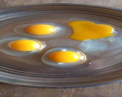 Desi Egg for sale in Gautam Buddha Nagar