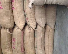 Normal Fennel Seeds for sale in Sawai Madhopur