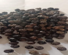 Bold Pepper for sale in Ahmedabad