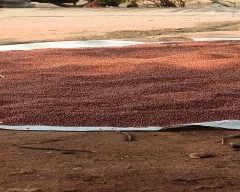 Indian Tur Dal for sale in Koppal