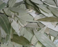 Other Bay leaf for sale in Darjeeling
