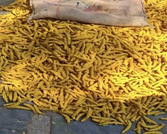 Dry Finger Turmeric for sale in North East Delhi