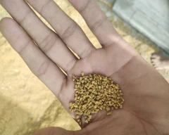 Normal Fenugreek Leaves for sale in Jind