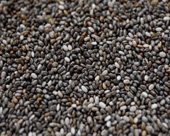Normal Chia seed for sale in Jhalawar