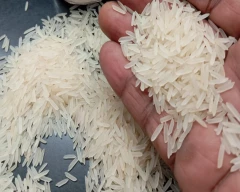 1121 Basmati Rice for sale in Karnal