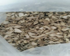 A Grade Quality Dried Ginger for sale in Nashik
