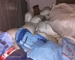 Indian Masoor for sale in Patna