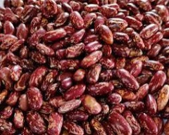 Chitra Rajma for sale in Madhepura