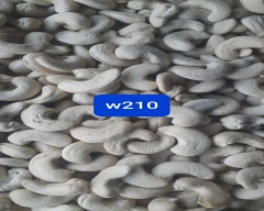 W - 210 Cashew for sale in Ranipet