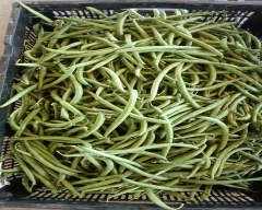 Normal French beans for sale in Anantapur