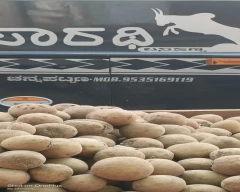 Normal Sapota for sale in Chitradurga