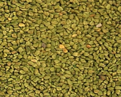 Other Fenugreek for sale in Sirohi