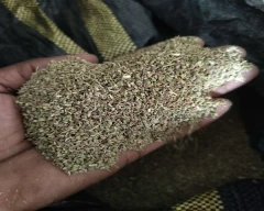 Normal Ajwain for sale in Chittorgarh