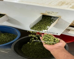 8+ Cardamom for sale in Ernakulam