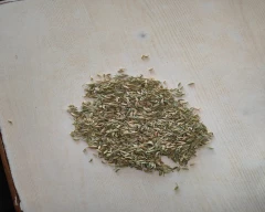 Normal Fennel Seeds for sale in Pali