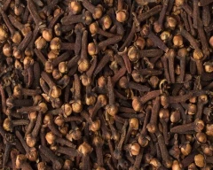 A Grade Quality Cloves for sale in Ghaziabad