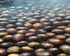 A Grade Quality Nutmeg for sale in Thrissur