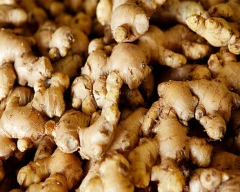 Normal Dried Ginger for sale in Hassan
