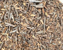 Normal Cinnamon for sale in Ahmedabad