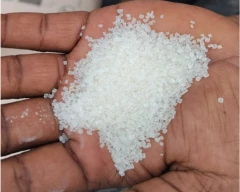 Normal Sugar for sale in Kolhapur