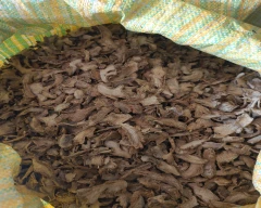 A Grade Quality Dried Ginger for sale in East Khasi Hills