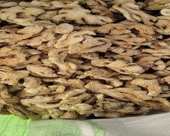 A Grade Quality Ginger for sale in Aurangabad
