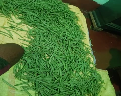 Normal French beans for sale in Mandya