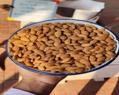 California Almond for sale in Mumbai City