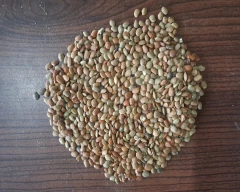 Normal Horse Gram for sale in Annamayya