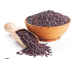 Black Mustard for sale in Jaunpur