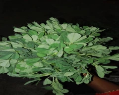 Normal Fenugreek Leaves for sale in Ahmednagar