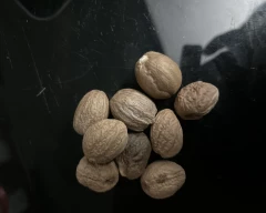 Normal Nutmeg for sale in Thrissur