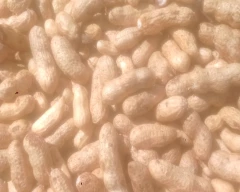 A Grade Quality Groundnut for sale in Dharmapuri