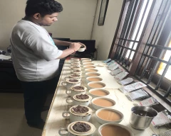 Other Tea for sale in Raipur