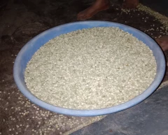 Normal White Peas for sale in Ratlam