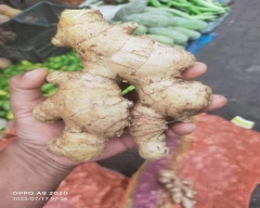 A Grade Quality Dried Ginger for sale in Jorhat