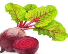 Normal Beetroot for sale in Mathura