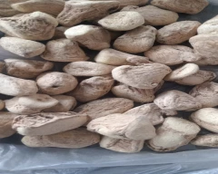 A Grade Quality Dried Ginger for sale in West Delhi