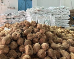 Normal Desiccated Coconut for sale in Thanjavur