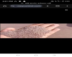 Normal Isabgul for sale in Bikaner