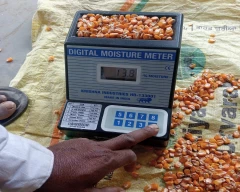 A Grade Quality Maize for sale in Siddipet