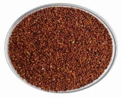 A Grade Quality Ragi for sale in Sundargarh