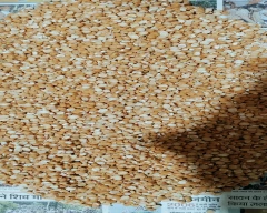 Indian Chana Dal for sale in Moradabad
