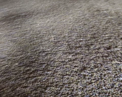 A Grade Quality Moong Dal for sale in Bathinda