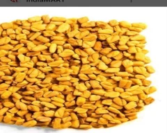 Normal Fenugreek for sale in Jodhpur