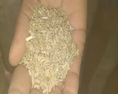 Normal Fennel Seeds for sale in Bikaner